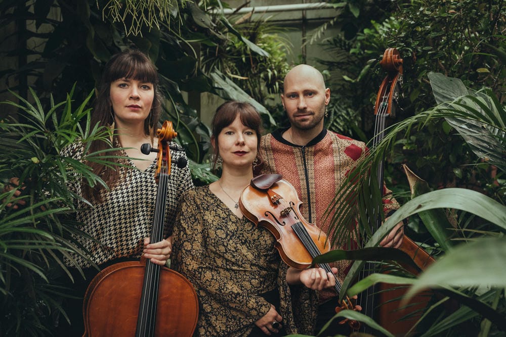 11 IdaBaumann TrioVier 35 comp